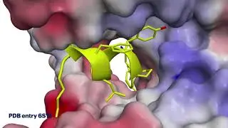 X-ray structure of the influenza polymerase PA C-terminal domain and an optimized PB1-like inhibitor