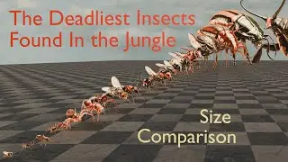 The TERRIFYING SIZE of JUNGLE INSECTS | Size Comparison | 3D Animation #3dcomparison #scale  #size