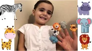 Learn Animals with Finger Family - Fun with Colors