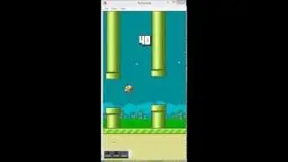 Flappy Bird High Score--(78)