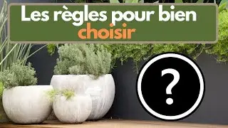 Comment bien choisir son pot de fleur