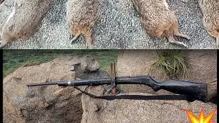 ca&ccedil;ada 💥de moc&oacute; testando outra  bate bucha💥👈👍