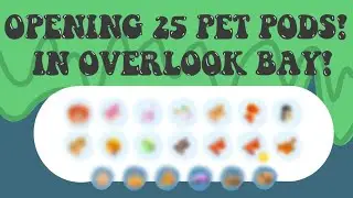OPENING 25 PET PODS IN OVERLOOK BAY!