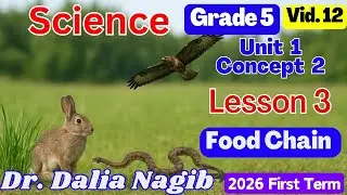 ساينس خامسة ابتدائى ترم اول 2026- 𝐒𝐜𝐢𝐞𝐧𝐜𝐞 𝐆𝐫𝐚𝐝𝐞 5 𝐂𝐨𝐧𝐜𝐞𝐩𝐭  2  𝐋𝐞𝐬𝐬𝐨𝐧 3
