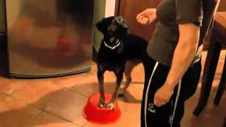 Esercizi Wanda silvia 3 prova