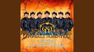 Mix Tributo Los Llaneros de la Frontera