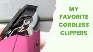 Choosing Cordless Clippers for Your Horse