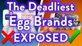 Avoid These 5 EGG Brands All Costs (And 2 That Are Actually Safe to Eat)