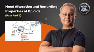 How Opioids Hijack Your Brain&rsquo;s Reward System 🧠 | Neuroscience Explained