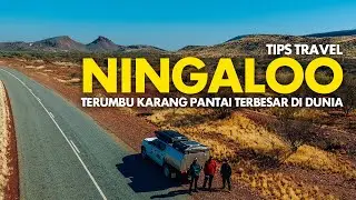 Tips Travel Ningaloo - Terumbu Karang Pantai Terbesar Di Dunia | Ningaloo Ep1