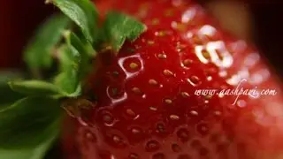 Highest Source of Antioxidants (10 Highest Antioxidant Source)