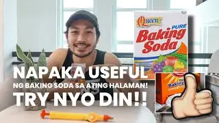 INCREDIBLE USE OF BAKING SODA SA ATING MGA HOUSEPLANTS!
