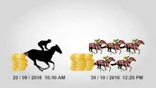 How to Bet on the Horses in New Zealand