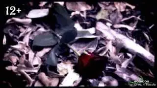 kaNNukyлы, ECO-CON сериала 