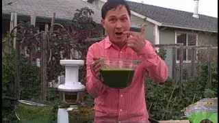 What to Grow in Your Vegetable Garden if You Want to Juice Everyday