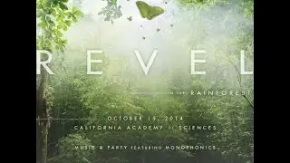 REVEL 2014 Highlights