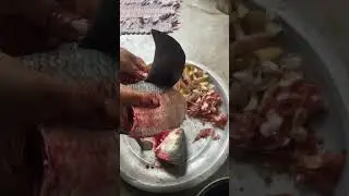 Hilsa fish #hilsa