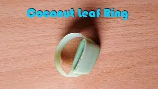 How To Make Coconut Leaf Using Ring