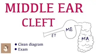 Middle ear cleft in '2 min' | ENT | Concept