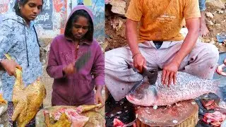 Incredible India - Largest Fish Market In Hyderabad - Processing Chicken Fish And Goat -Fish Markets