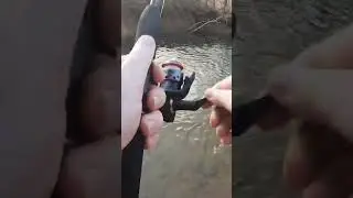 Fishing for trout in a creek. #troutfishing #rainbowtrout #fishyangler
