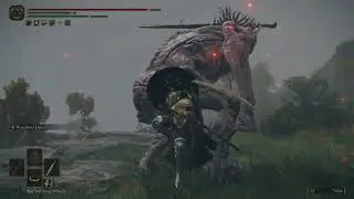 Hand of Malenia damage test