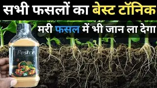 Arav biochem Faster Tonic | humic acid, fulvic acid & sea weed extract | amino acid | best tonic ☘️