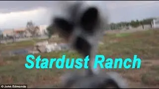 Stardust Ranch with John Edmonds & Bruce MacDonald The Interview
