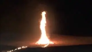 A Proposal in the Desert - Burning Trees