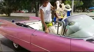 Jailhouse Rock in 59er Pink Cadillac + la tortuga psychedelica