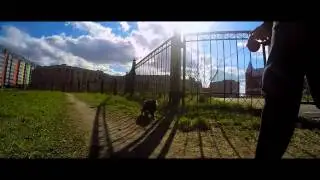 GoPro: Dog insta