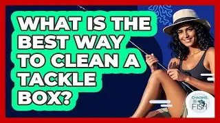 What Is The Best Way To Clean A Tackle Box?