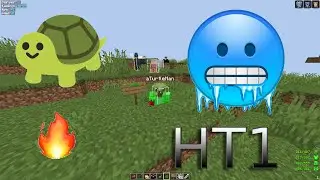 LT5 NETHPOT MONTAGE