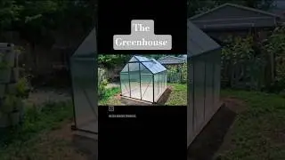 Greenhouse is up! #garden #greenhouse #mybackyardgarden #gardeningtips #gardendelight #gardening