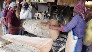 SAWMILL COCONUT WOOD CUTTING / Small Scale IndustrieS