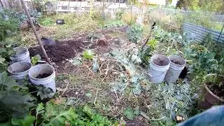 Rabbit Revolution Unleashed: Garden Domination Saga!