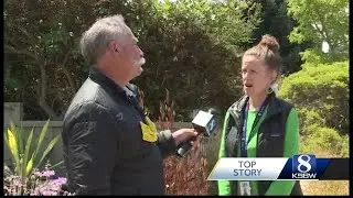 Fentanyl overdose deaths on the rise in Santa Cruz County