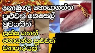 නොම්ලෙ හොයාගන්න පුළුවන්  කෙසෙල් මූවයකින් ලක්ෂ ගන්න හොයන්න පුළුවන්  ව්‍යාපාරයක් පටන් ගමුද ?
