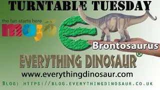 Mojo Fun Brontosaurus Turntable Tuesday