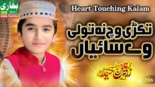 Takri Vich Na Toli Saiyan || Heart Touching kalam || By Zarnain Haider Allhussaini || Like 👍 Thanks