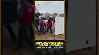 Israel Receives Bodies of Four Hostages | WION Shorts