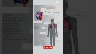 heart structure and anatomy biology 11th 12th 9th Class #mdcat ||NEET #neet2023