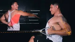 El Ejercicio PERFECTO para Espalda (Desde Principiantes hasta Avanzados)