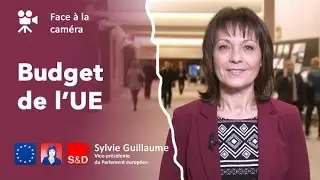 Face &agrave; la cam&eacute;ra : budget de l'UE