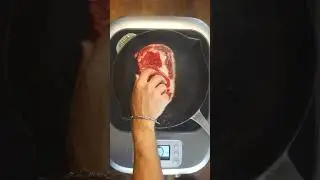 feeding my cat a fancy steak