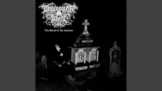 Servant of an Unholy Plague