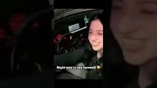 perfectly cut memes #1.                                    