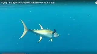 Flying Tuna By Brutus Offshore Platform on Castin' Cajun