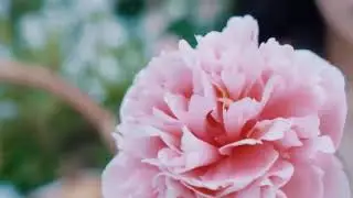 YOUTH(청소년):SOOYAH[Concept Film]