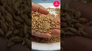 Making Horlicks Powder #shorts #asmr #MylockdownRasoi #viral #youtubeshorts